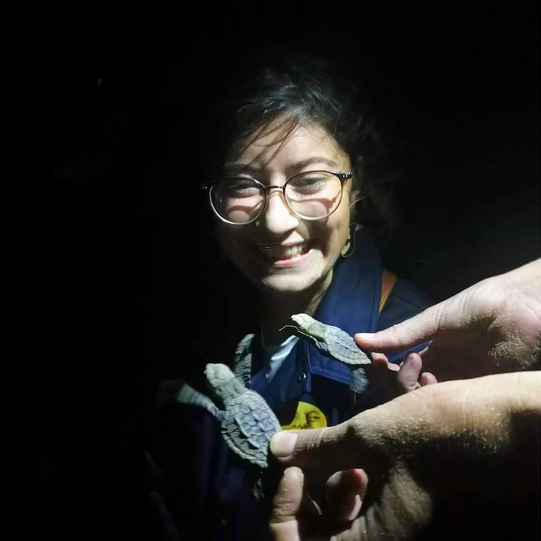 Alise smiling at the baby loggerhead turtle hatchlings being held up in front of here. It is dark and the only light is on the turtles, reflected onto her face.