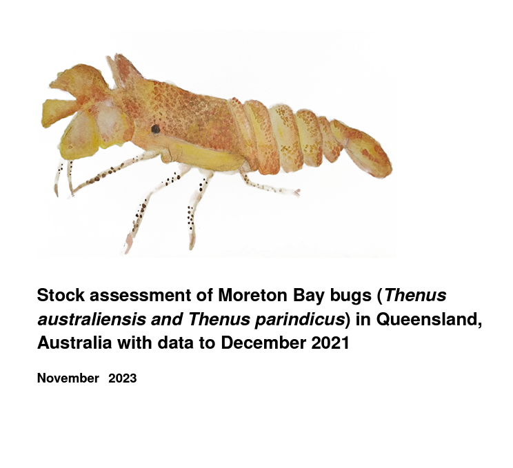 Moreton Bay bug